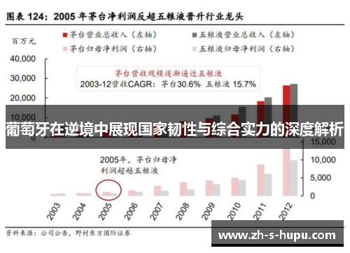 葡萄牙在逆境中展现国家韧性与综合实力的深度解析