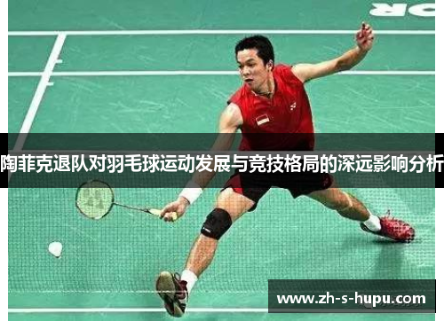 陶菲克退队对羽毛球运动发展与竞技格局的深远影响分析