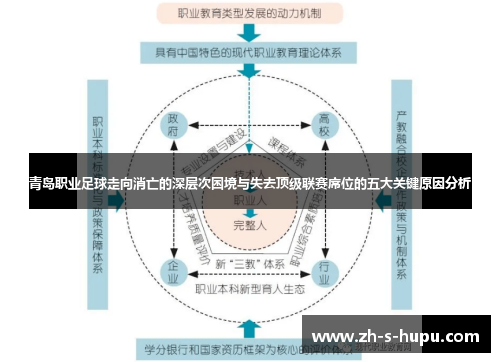 青岛职业足球走向消亡的深层次困境与失去顶级联赛席位的五大关键原因分析