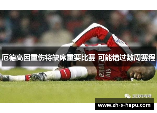 厄德高因重伤将缺席重要比赛 可能错过数周赛程